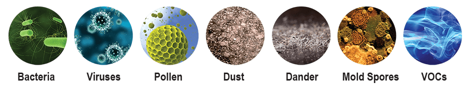 Reduces bacteria, viruses, pollen, dust, dander, mold spores, and VOCs.